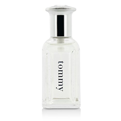 Tommy Tommy Hilfiger (100ml / men) - Divine Scent