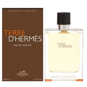 Terre D’Hermes (100ml / men) - DivineScent